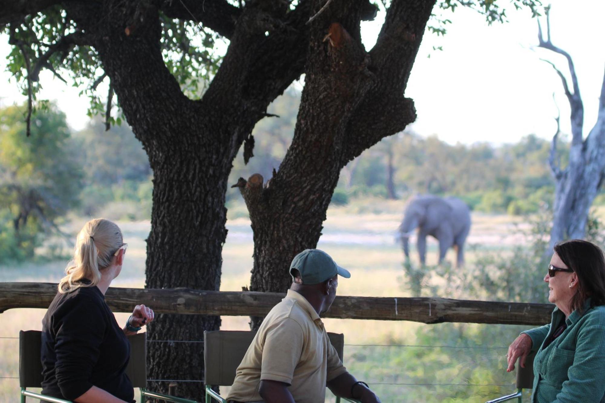 Rhino Walking Safaris Hotell Skukuza Eksteriør bilde