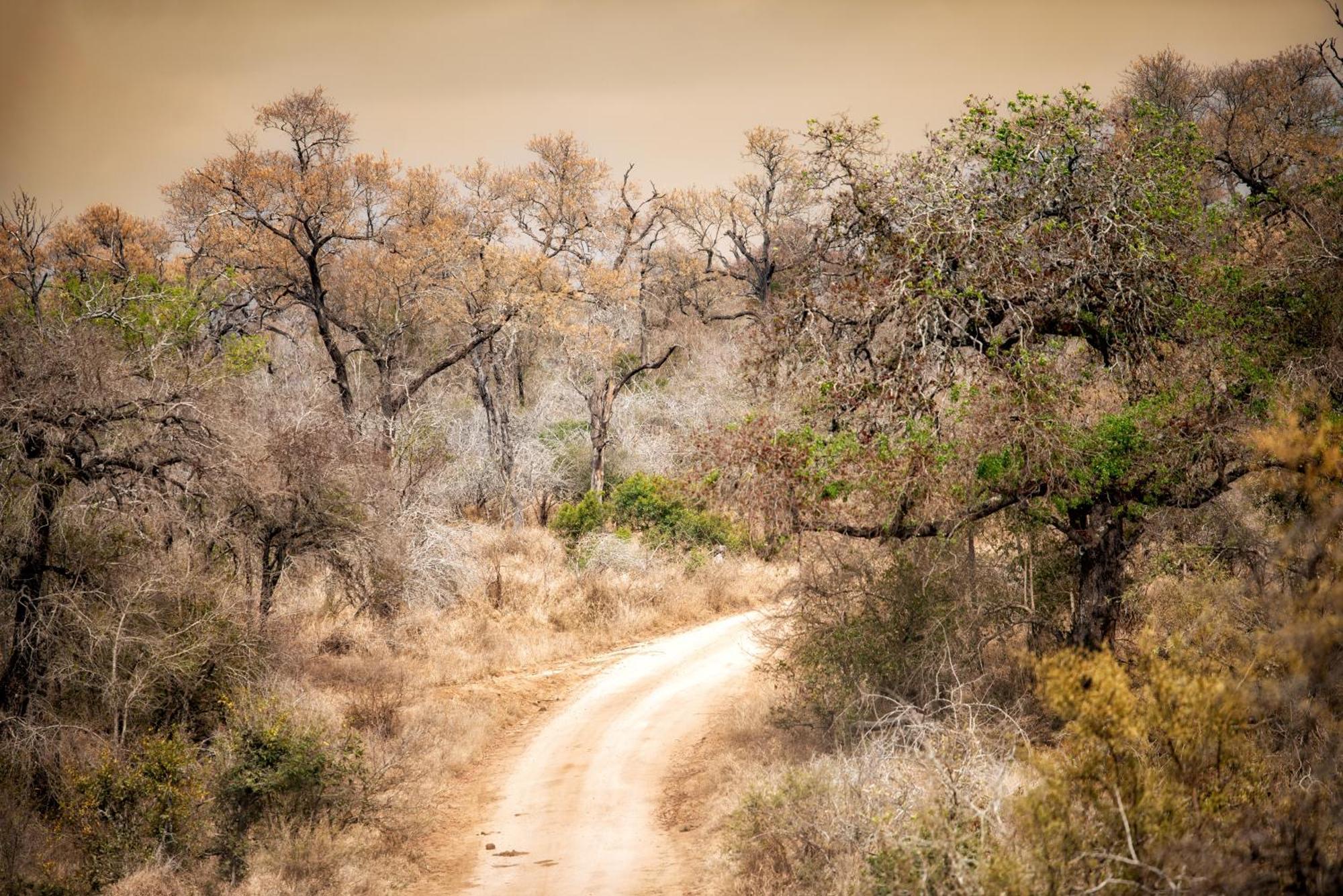 Rhino Walking Safaris Hotell Skukuza Eksteriør bilde