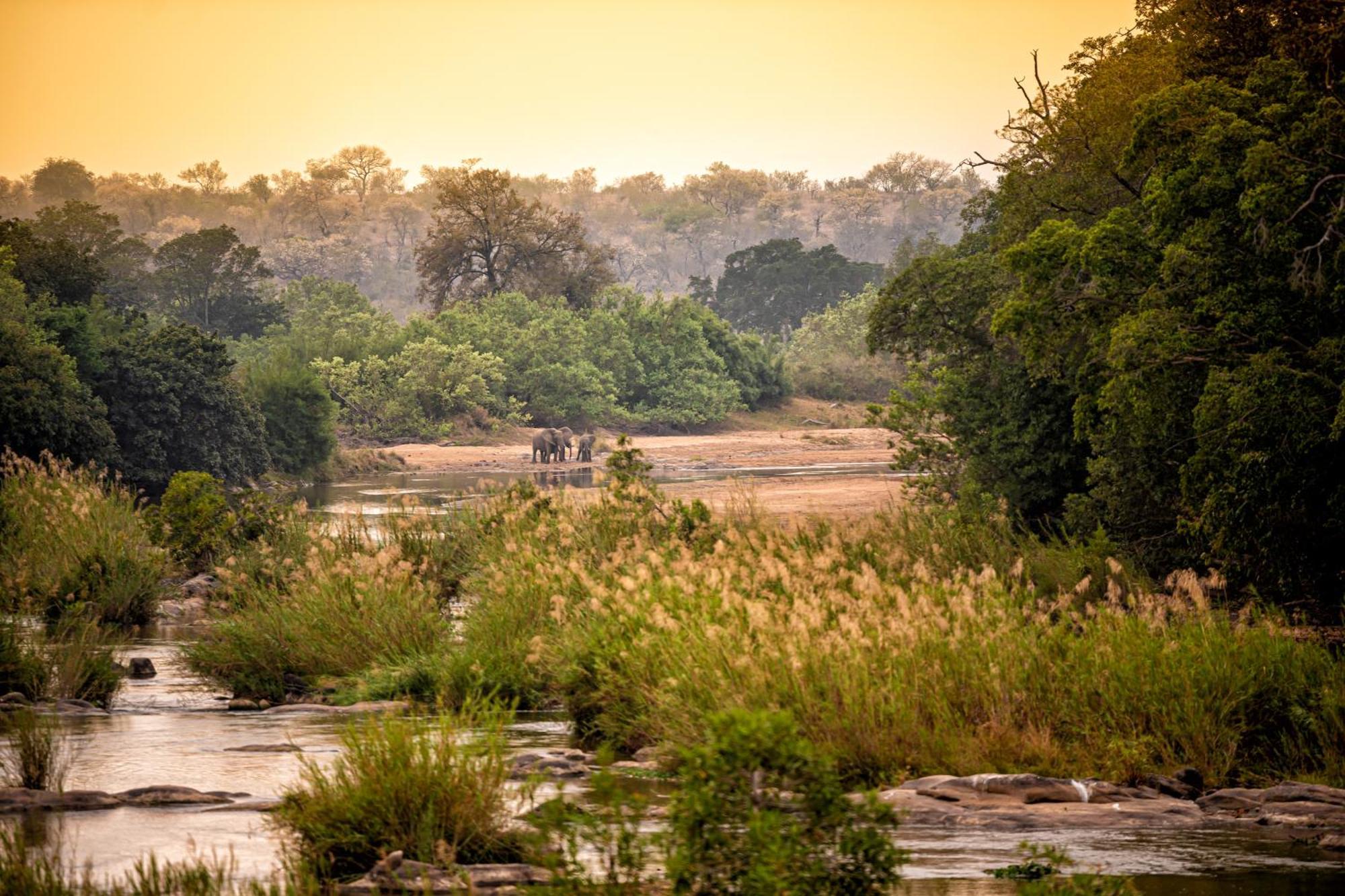 Rhino Walking Safaris Hotell Skukuza Eksteriør bilde