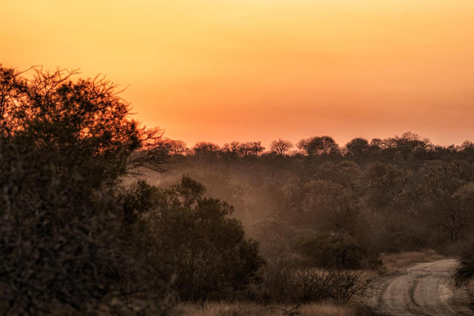 Rhino Walking Safaris Hotell Skukuza Eksteriør bilde
