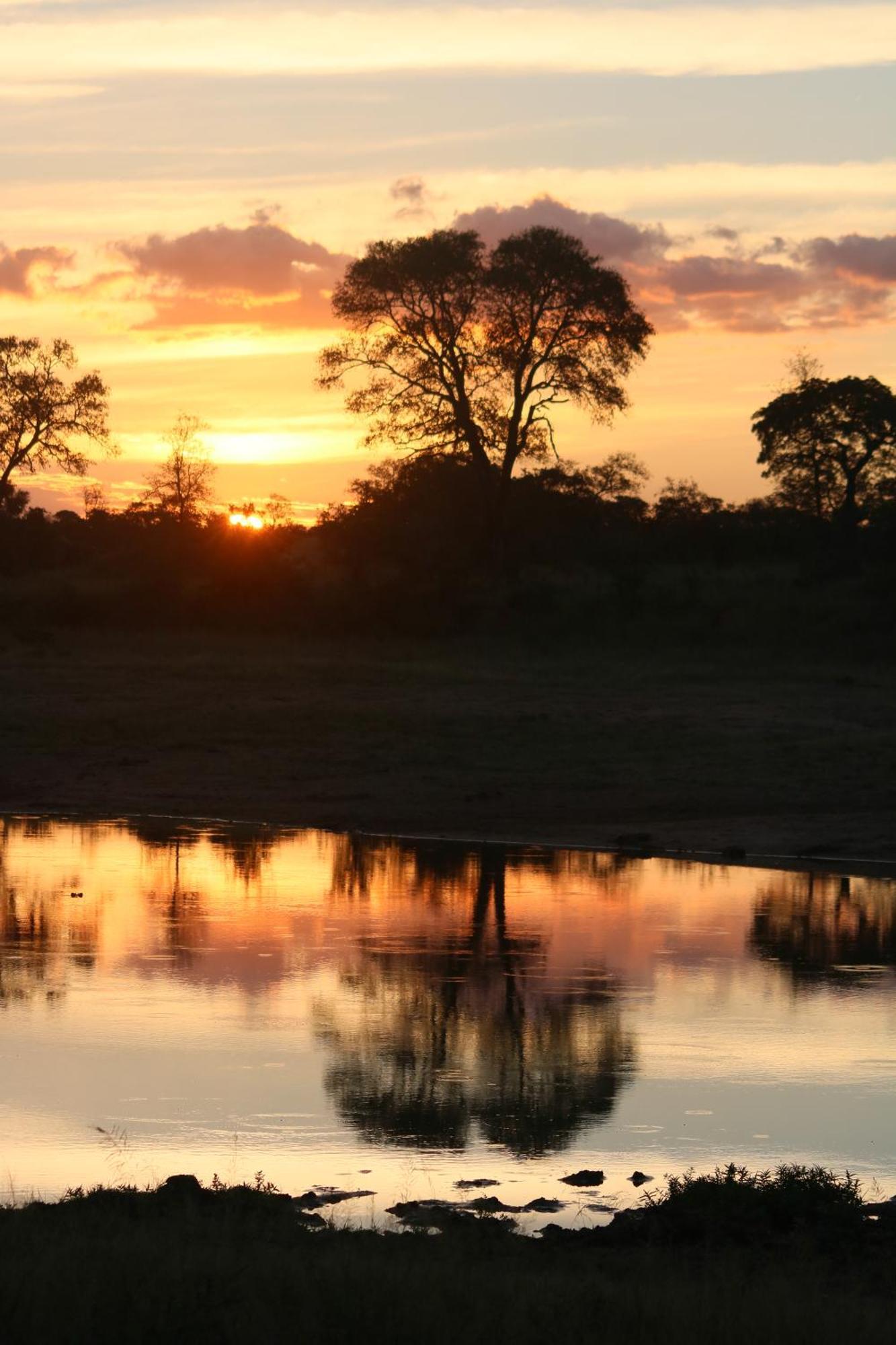 Rhino Walking Safaris Hotell Skukuza Eksteriør bilde