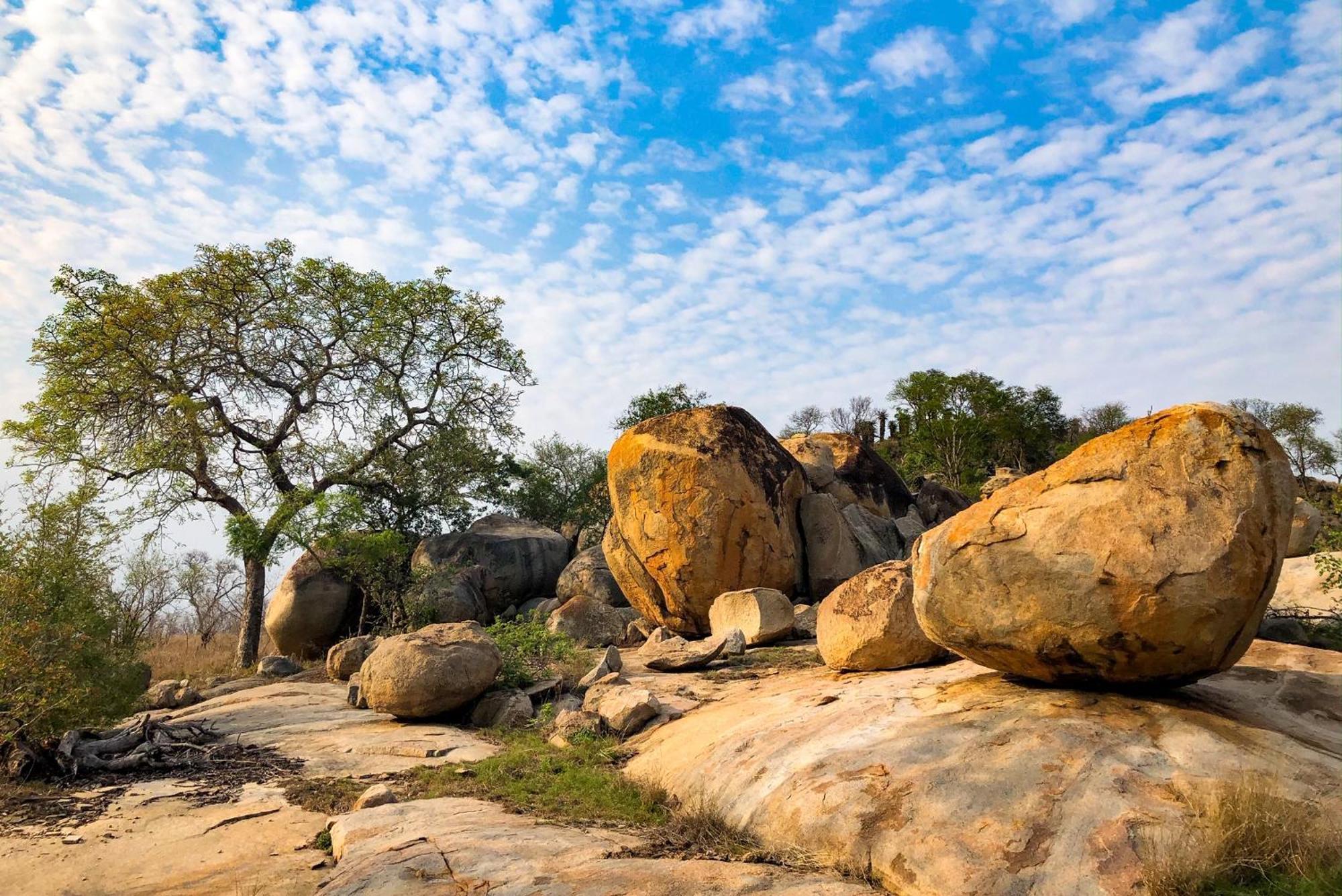 Rhino Walking Safaris Hotell Skukuza Eksteriør bilde