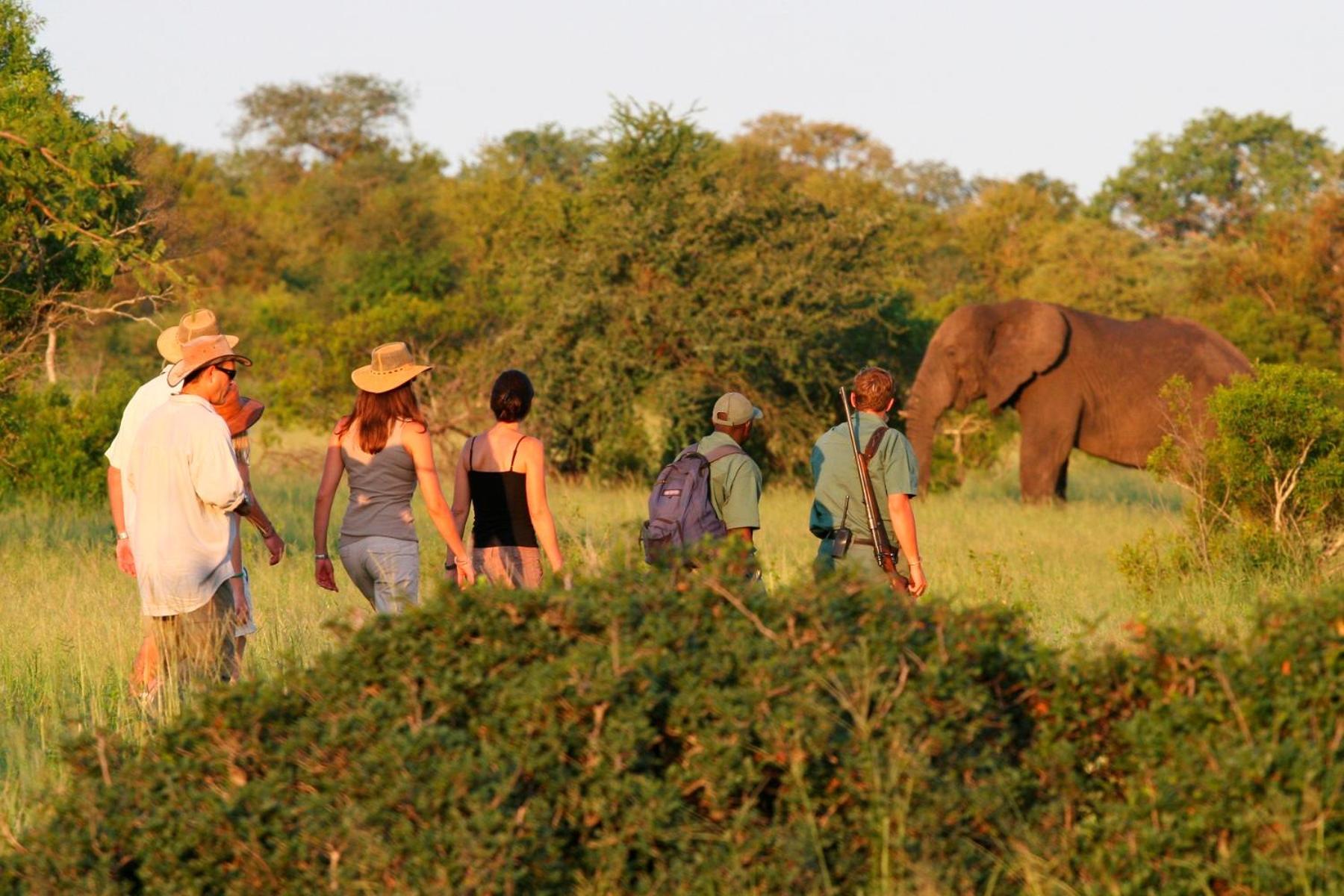 Rhino Walking Safaris Hotell Skukuza Eksteriør bilde