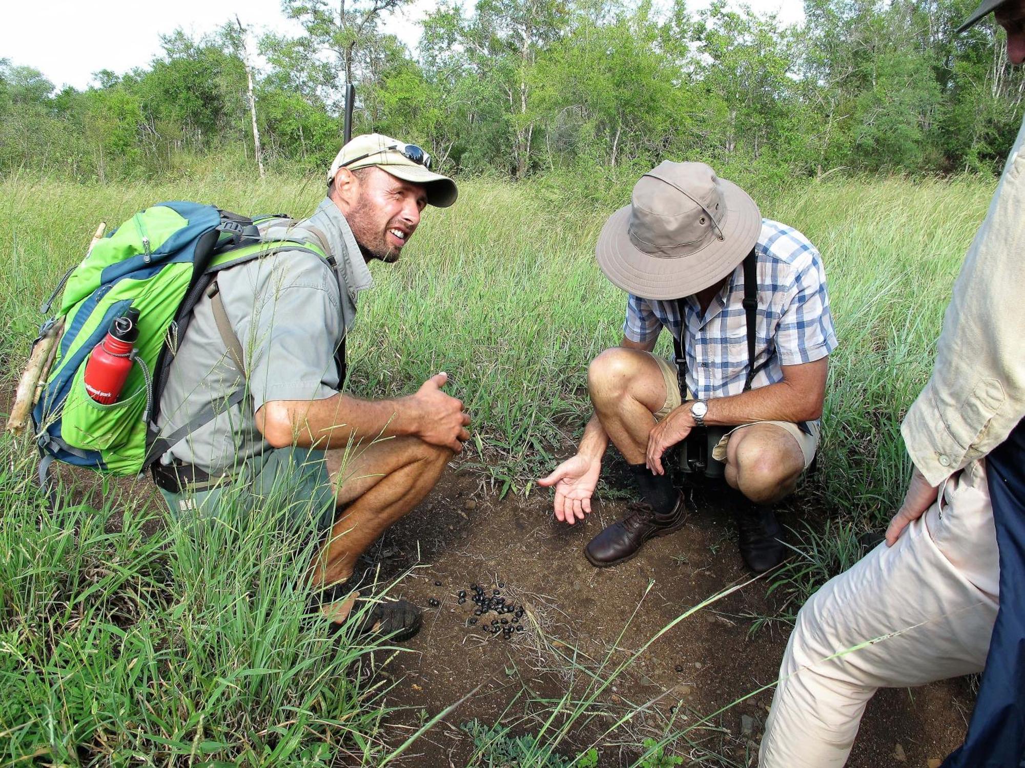 Rhino Walking Safaris Hotell Skukuza Eksteriør bilde